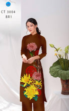 Load image into Gallery viewer, Copy of 01 Set - Ao Dai - Traditional Vietnamese Long Dress Collections with Pants - Silk 3D - All Size