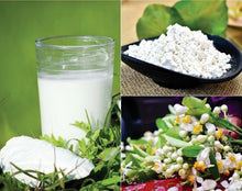 Load image into Gallery viewer, 500gram Bot San DAy Nguyên Chất Minh Phung