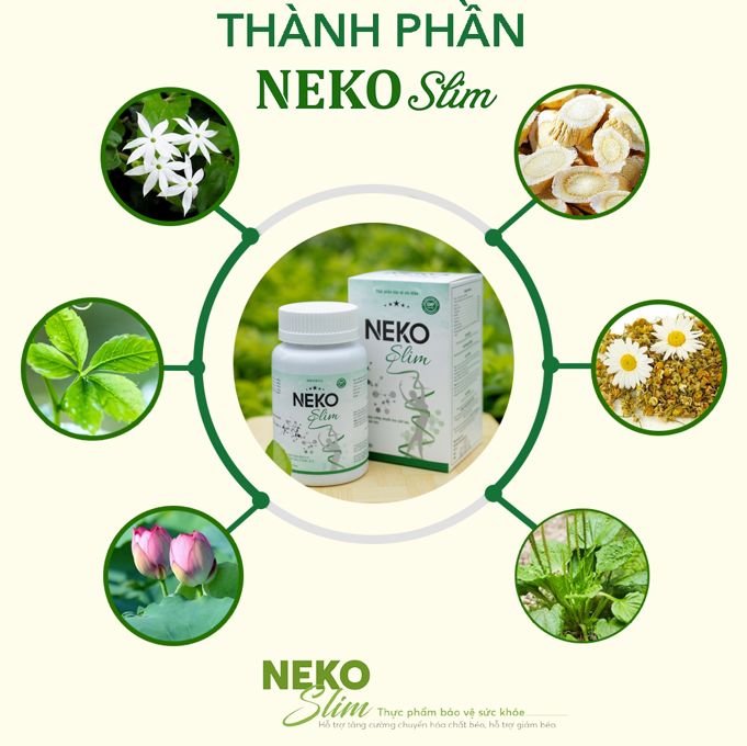 2 Boxes x  Giam can genuine Neko slim weight loss herbs Japanese technology