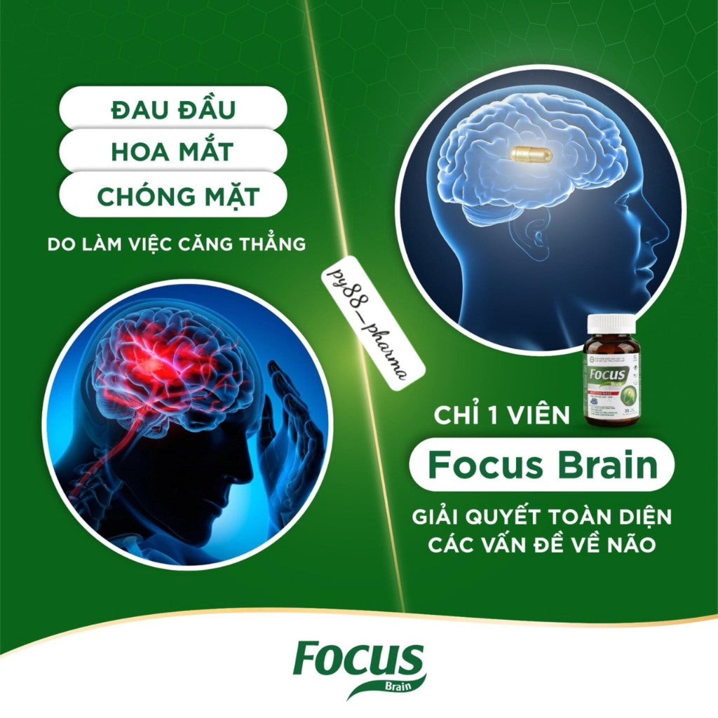 Focus Brain – Hoạt huyết, tăng tuần hoàn máu não, hỗ trợ giảm các triệu chứng do thiểu năng tuần hoàn não.