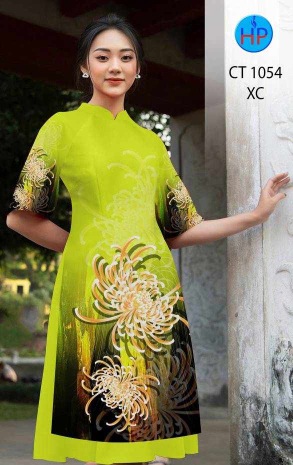 1 Set - Ao Dai - Traditional Vietnamese Long Dress Collections with Pants - Silk 3D - All Size - Hoa Cuc