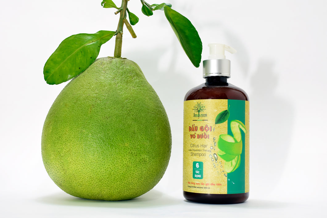 Dầu Gội Vỏ Bưởi AmeGreen 600ml - Made in Vietnam