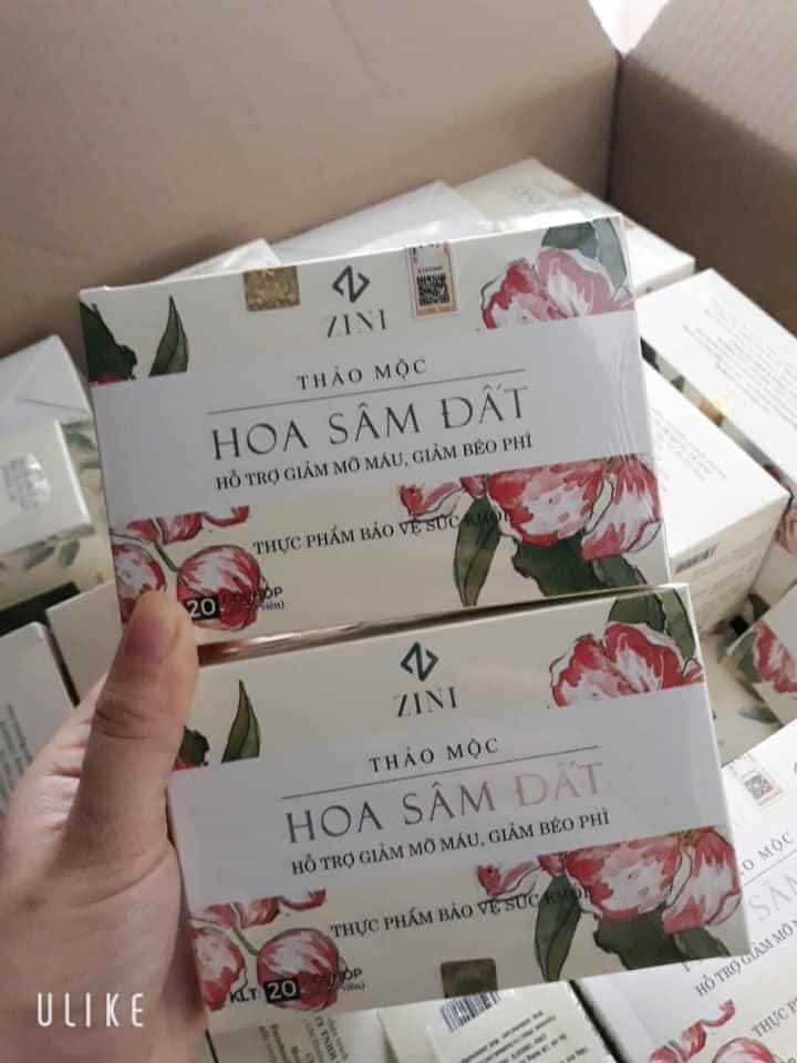 01 Boxes HOA SAM DAT Natural Herbal Tea Help Secure Weight Loss With 100% Herbs