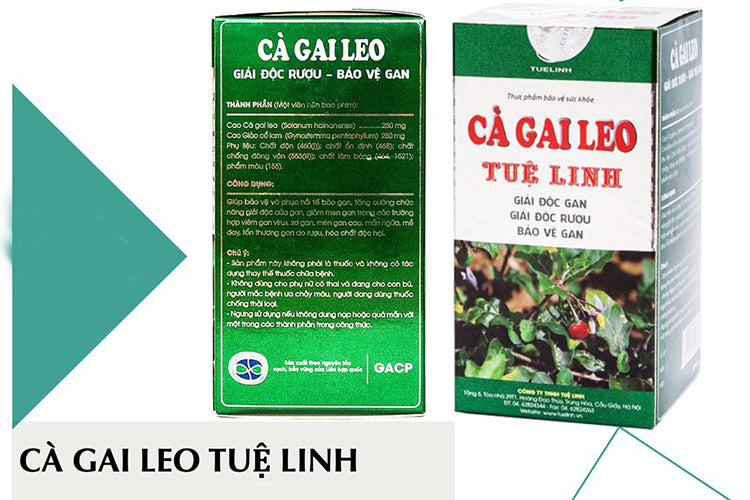 120 tablets (2 jars) Cà gai leo Tuệ Linh - liver & alcohol detox, liver protect