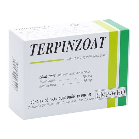 Thuốc Điều Trị Ho, Long Đờm Terpinzoat 5Vỉ X 10 Viên