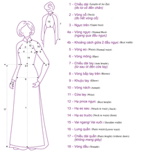 Load image into Gallery viewer, 1 Set - Ao Dai - Traditional Vietnamese Long Dress Collections with Pants - Silk 3D - All Size - Hoa Cuc
