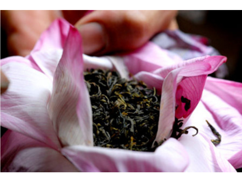 TRÀ ƯỚP BÔNG SEN TÂY HỒ - 05 Bông