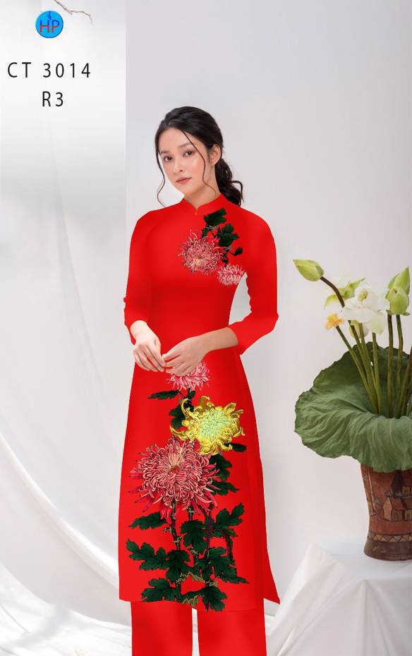 1 Set - Ao Dai - Traditional Vietnamese Long Dress Collections with Pants - Silk 3D - All Size - Hoa Cuc