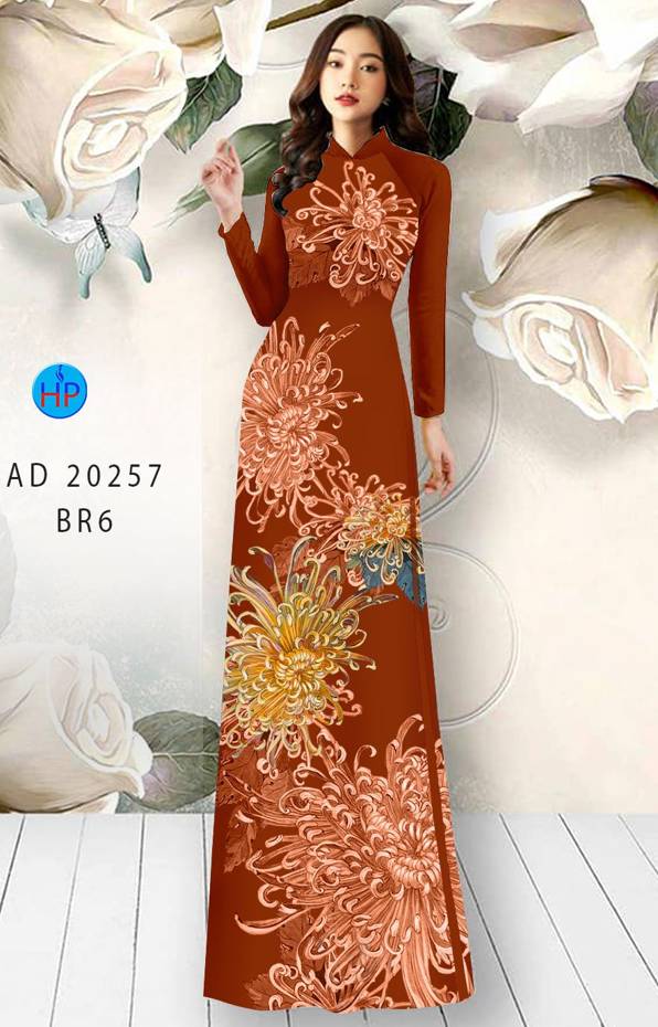1 Set - Ao Dai - Traditional Vietnamese Long Dress Collections with Pants - Silk 3D - All Size - Hoa Cuc