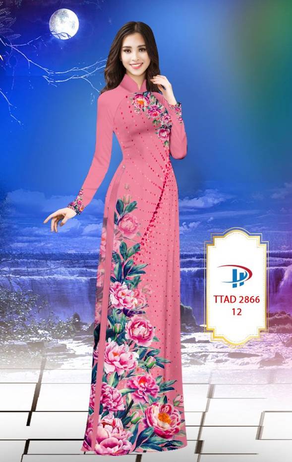 1 Set - Ao Dai - Traditional Vietnamese Long Dress Collections with Pants - Silk 3D - All Size - Hoa Cuc