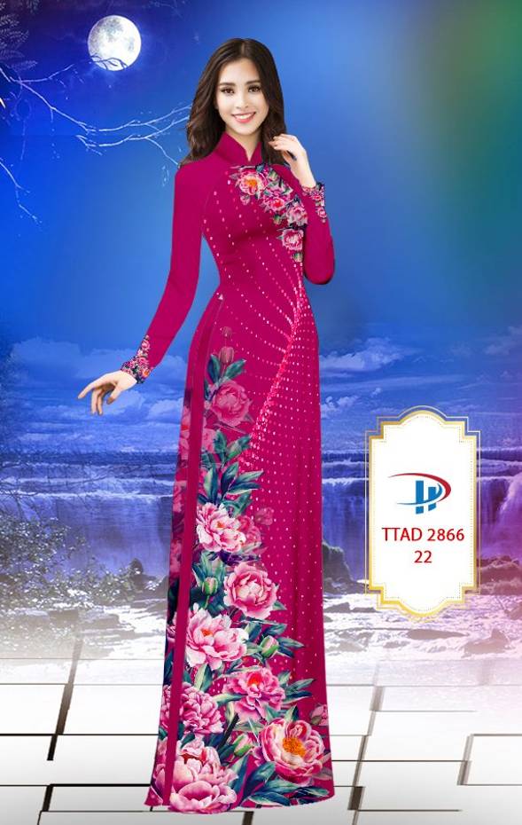 1 Set - Ao Dai - Traditional Vietnamese Long Dress Collections with Pants - Silk 3D - All Size - Hoa Cuc