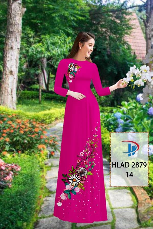 1 Set - Ao Dai - Traditional Vietnamese Long Dress Collections with Pants - Silk 3D - All Size - Hoa Cuc