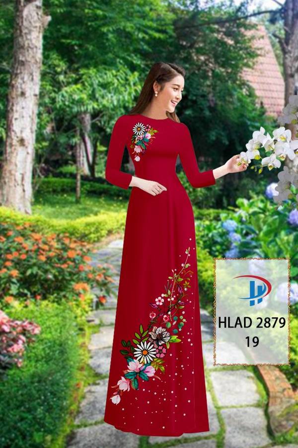 1 Set - Ao Dai - Traditional Vietnamese Long Dress Collections with Pants - Silk 3D - All Size - Hoa Cuc