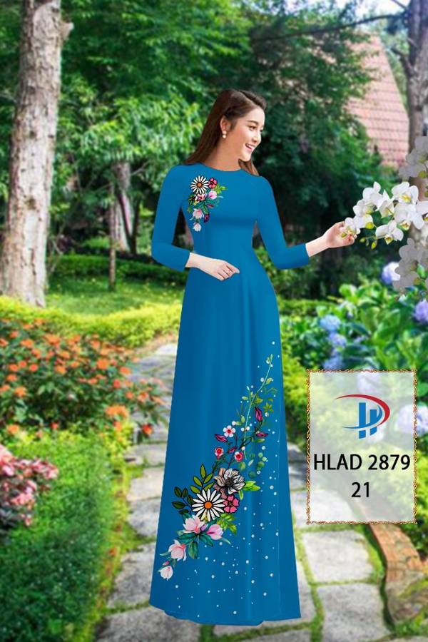 1 Set - Ao Dai - Traditional Vietnamese Long Dress Collections with Pants - Silk 3D - All Size - Hoa Cuc