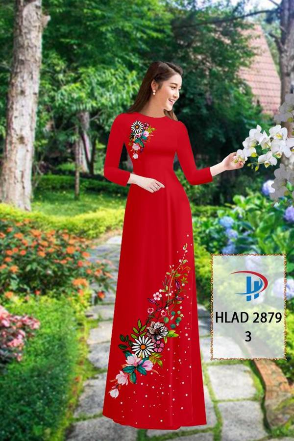 1 Set - Ao Dai - Traditional Vietnamese Long Dress Collections with Pants - Silk 3D - All Size - Hoa Cuc